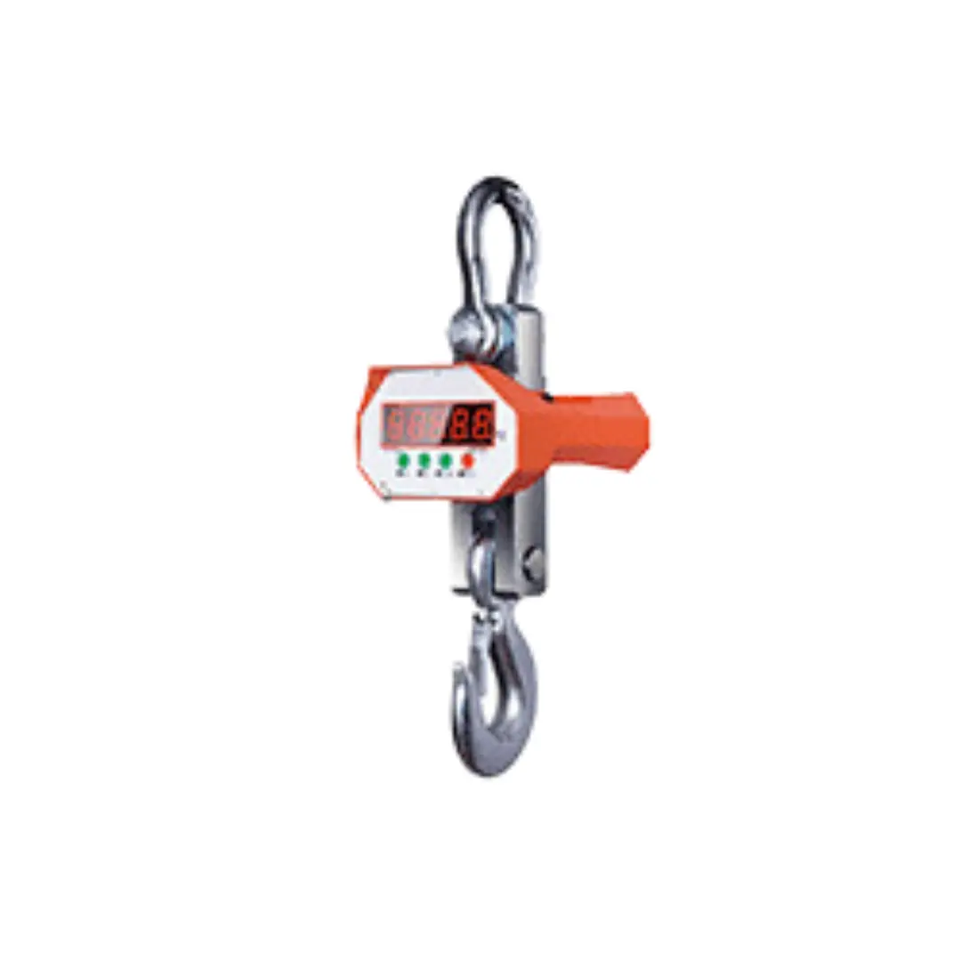 Crane weighing scale