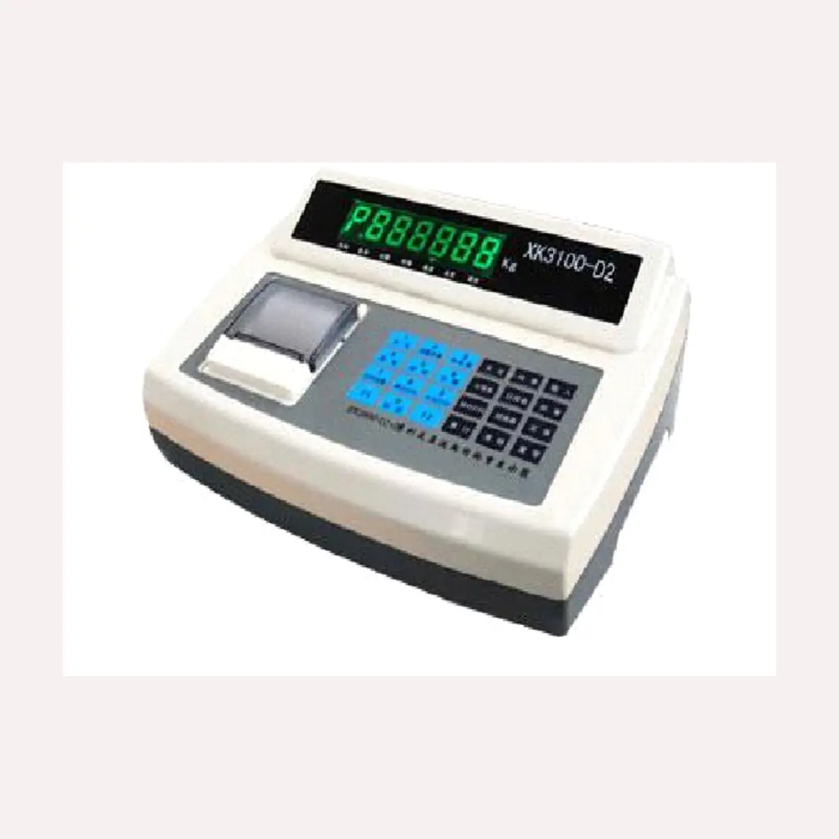 picture of a weighbridgr weighing printer